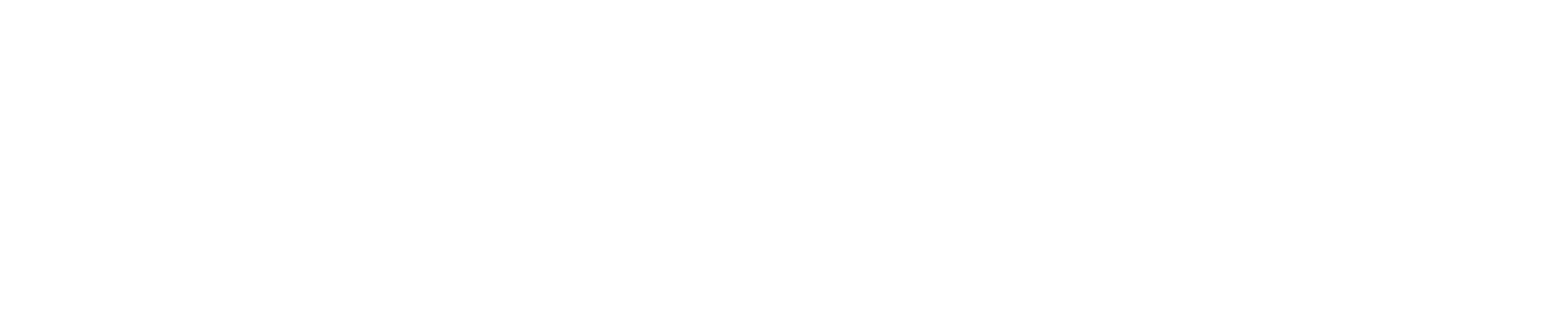 Tensor Tech's Service